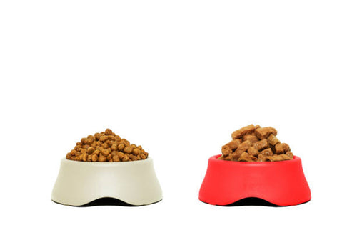 What is better: Wet dog food or Dry dog food.