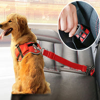 Seatbelt Harness