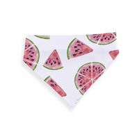 Bandana - Watermelon