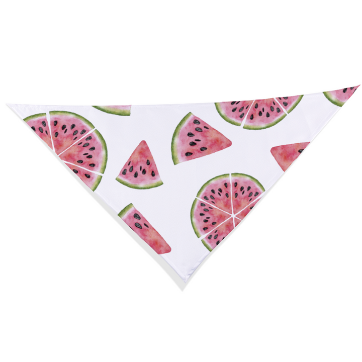 Bandana - Watermelon