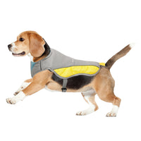 Cooling Vest