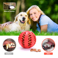 Dog Treat Ball