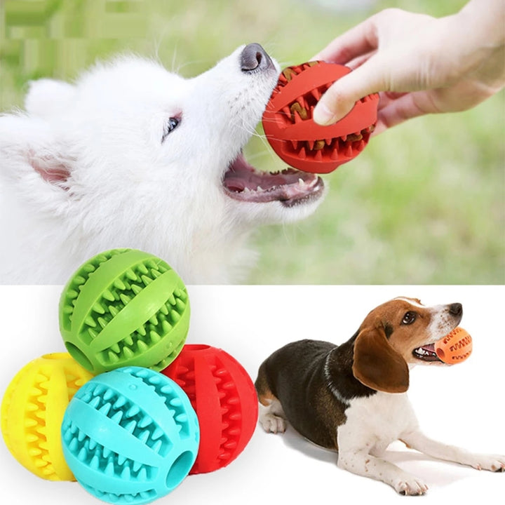 Dog Treat Ball