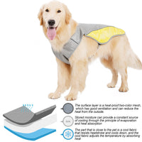 Cooling Vest