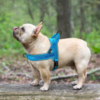 Nylon Reflective Pet Harness