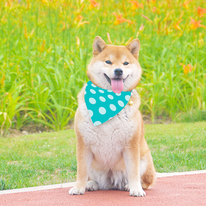 Bandana - Teal Dots