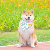 Bandana - Dog Life