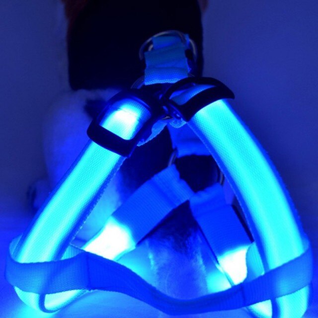 LED Dog Harness