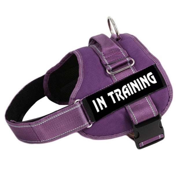 No Pull Dog Harness