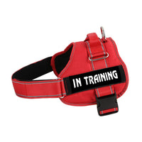 No Pull Dog Harness