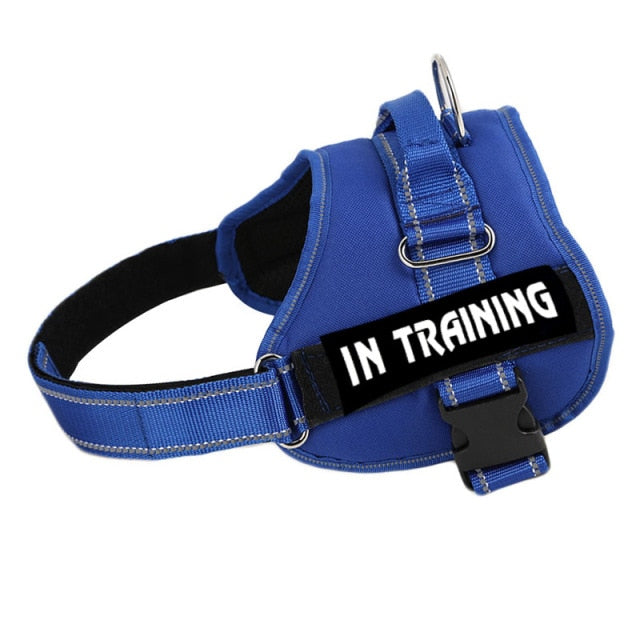 No Pull Dog Harness