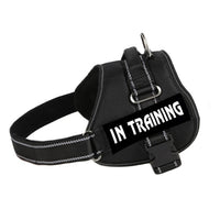 No Pull Dog Harness