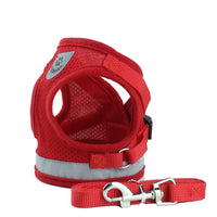 Pet Harness - Small & Medium Harness