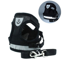 Pet Harness - Small & Medium Harness