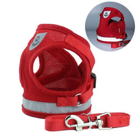 Pet Harness - Small & Medium Harness