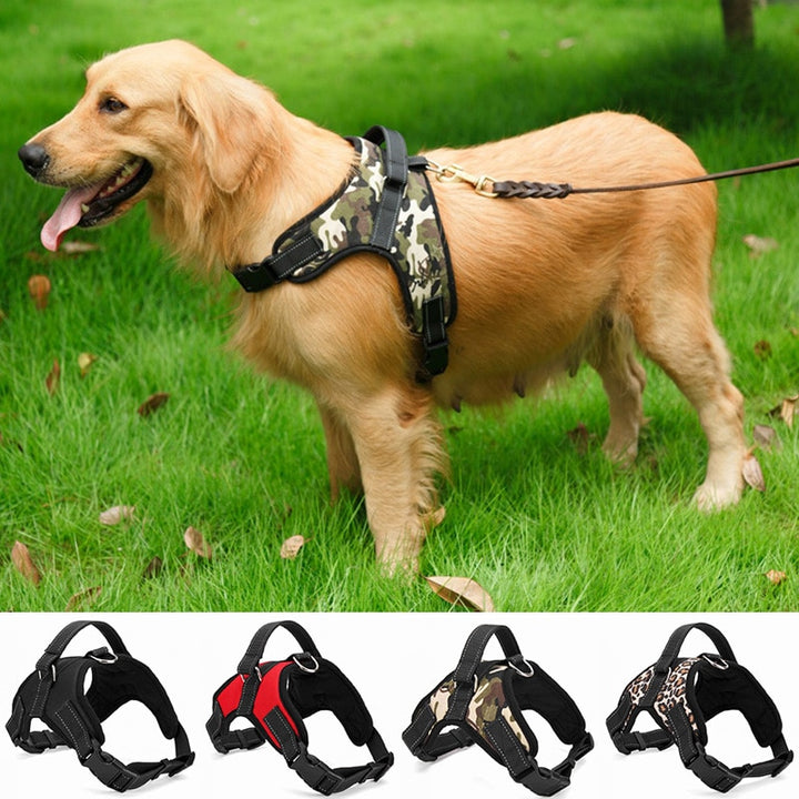 Dog harness