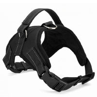 Dog harness