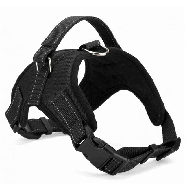 Dog harness