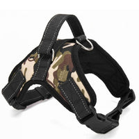 Dog harness