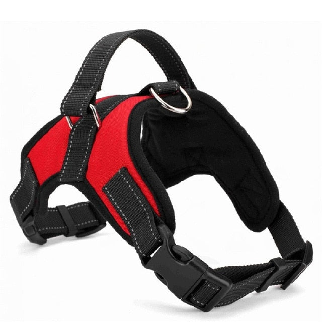 Dog harness