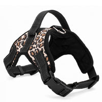 Dog harness