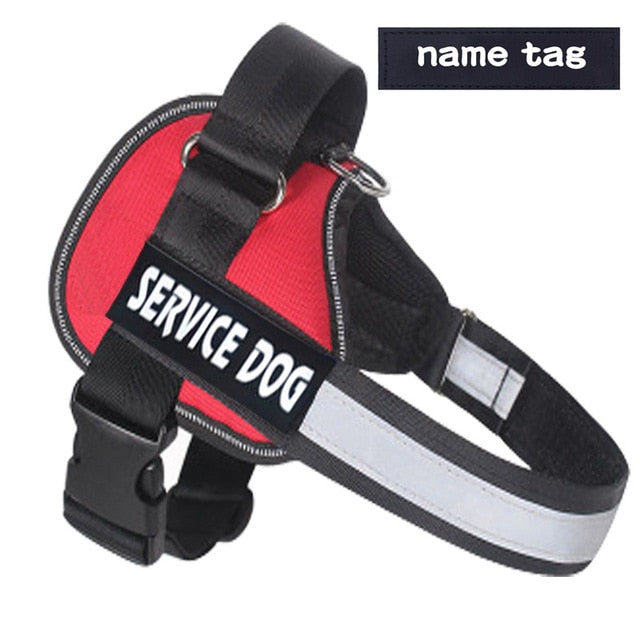 No Pull Dog Harness