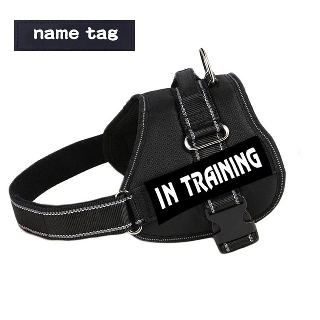 No Pull Dog Harness