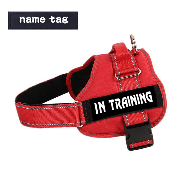 No Pull Dog Harness