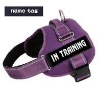 No Pull Dog Harness