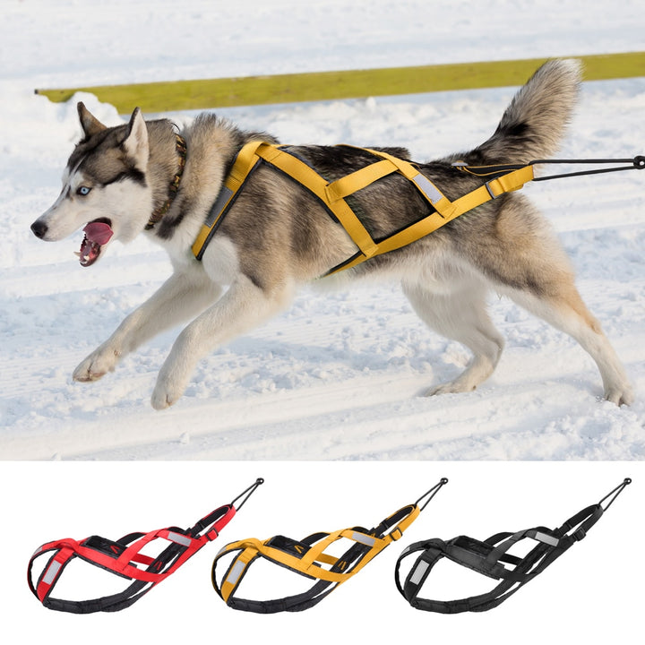 Dog Sledding Harness