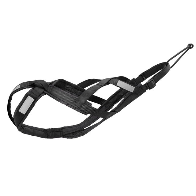 Dog Sledding Harness