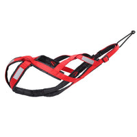 Dog Sledding Harness