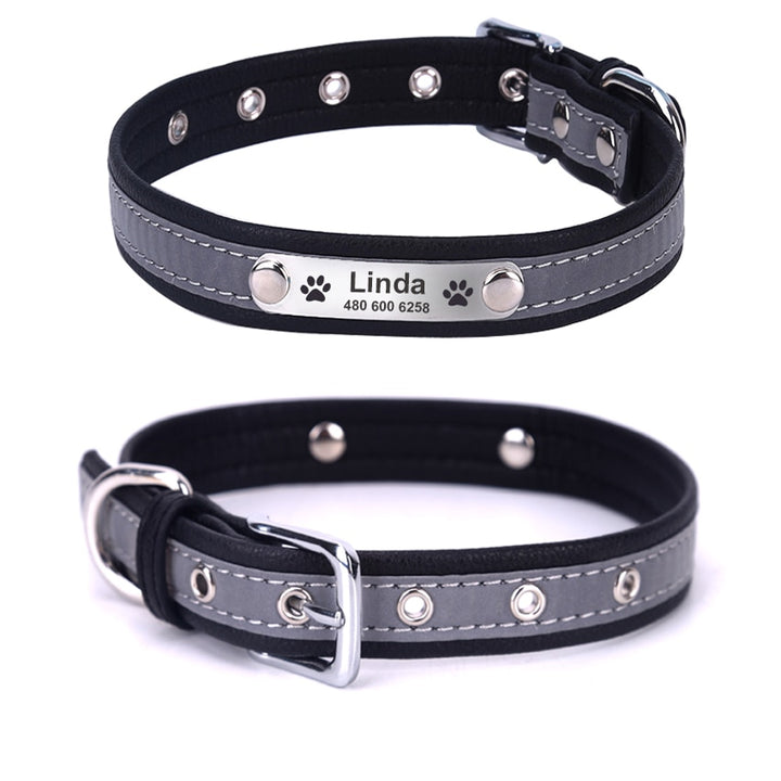 Personalized Dog Collars