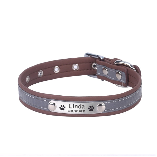 Personalized Dog Collars