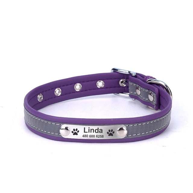 Personalized Dog Collars